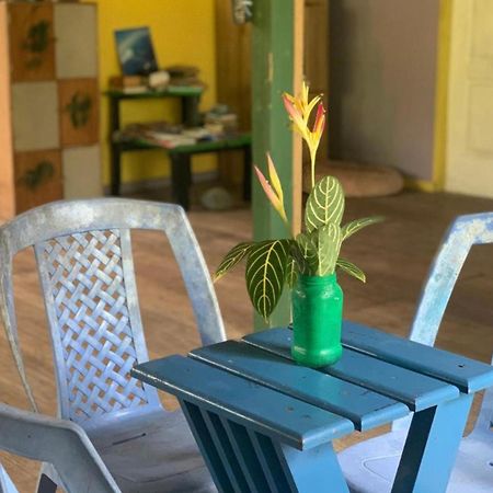 La Y Surf Camp Hotel Bocas Town Ngoại thất bức ảnh