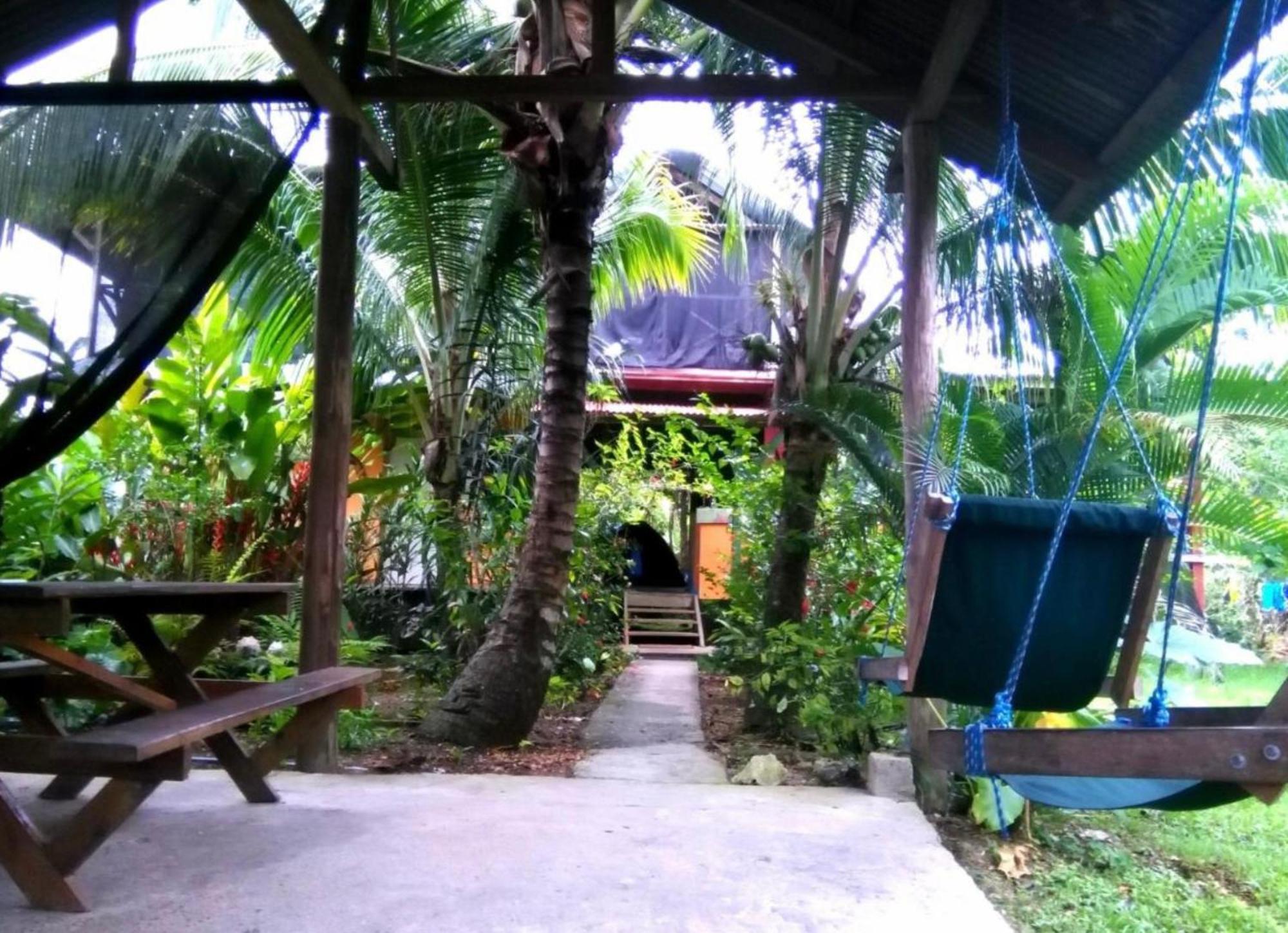 La Y Surf Camp Hotel Bocas Town Ngoại thất bức ảnh