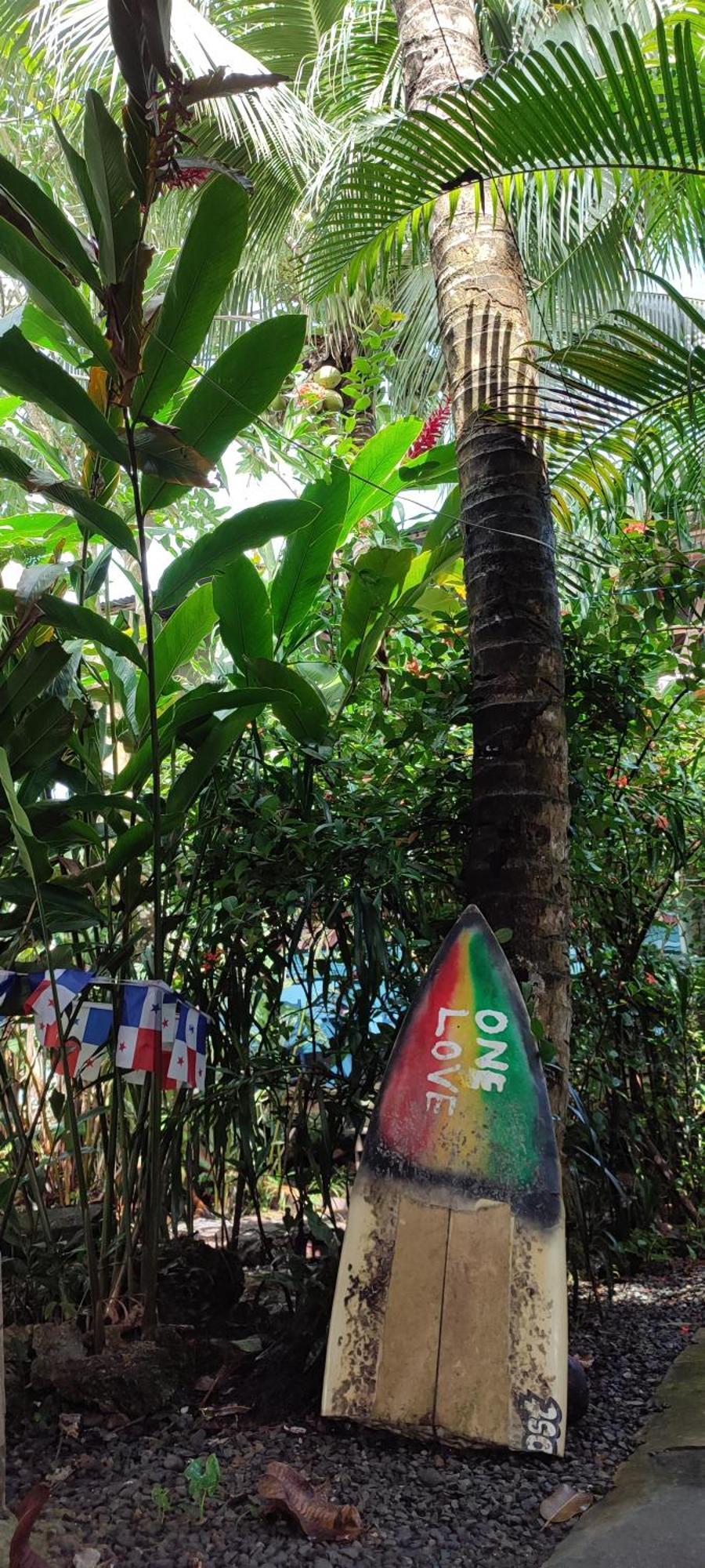 La Y Surf Camp Hotel Bocas Town Ngoại thất bức ảnh