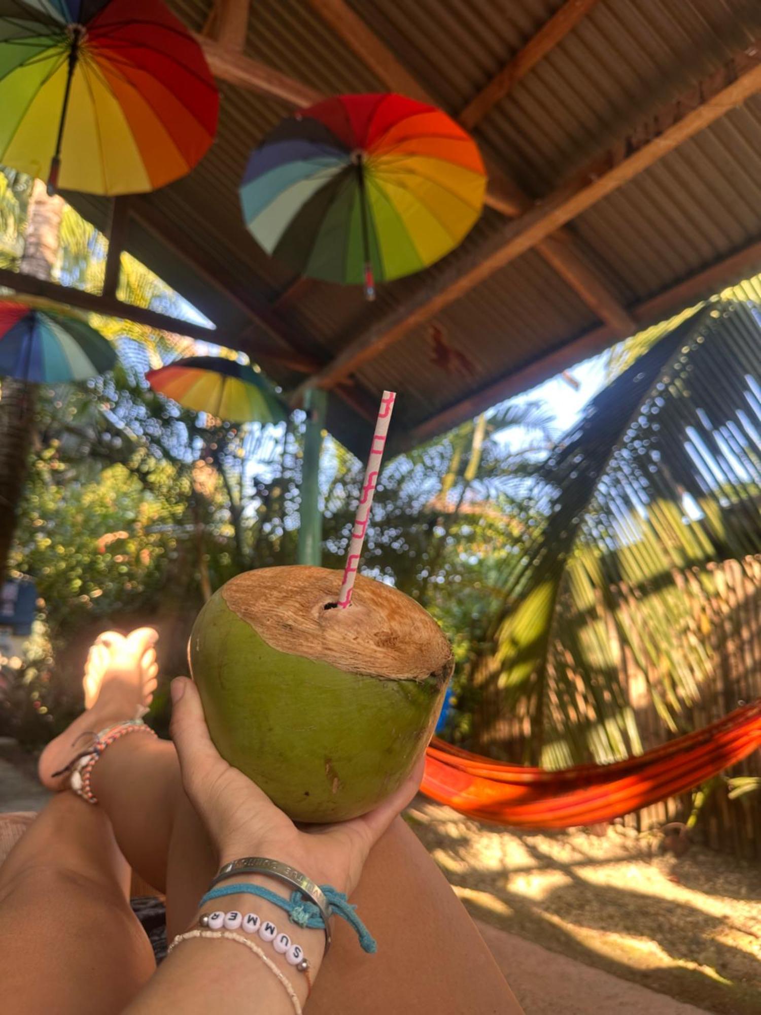 La Y Surf Camp Hotel Bocas Town Ngoại thất bức ảnh